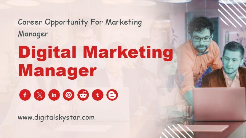 Digital Marketing Expert
