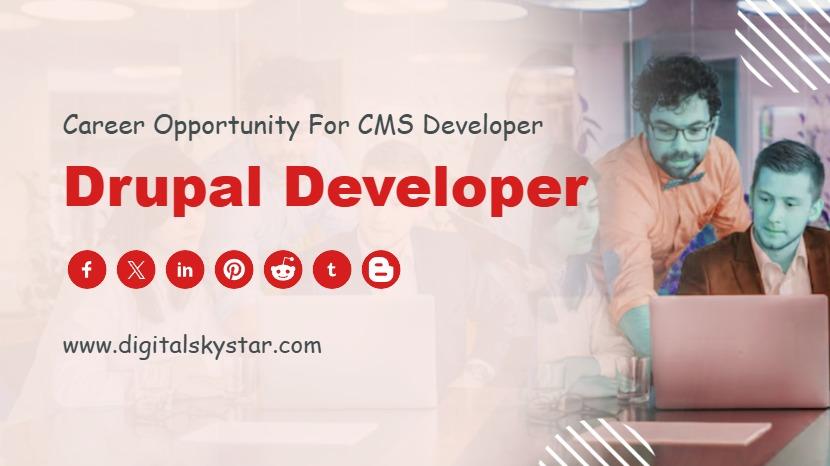 Drupal Developer
