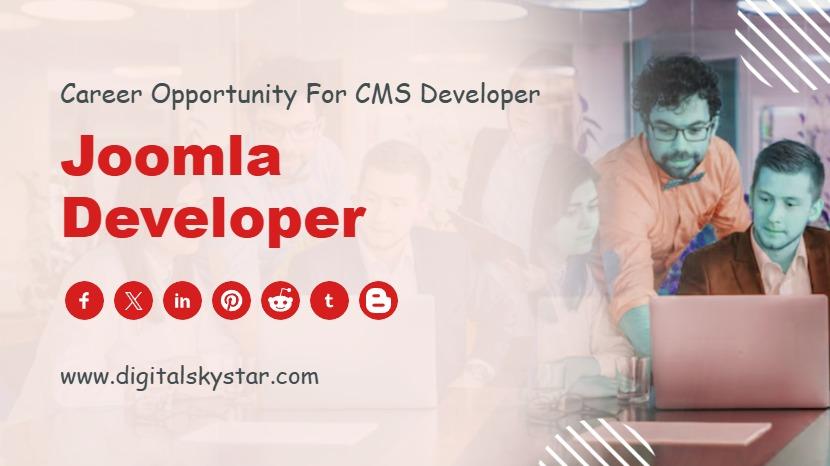 Joomla Developer