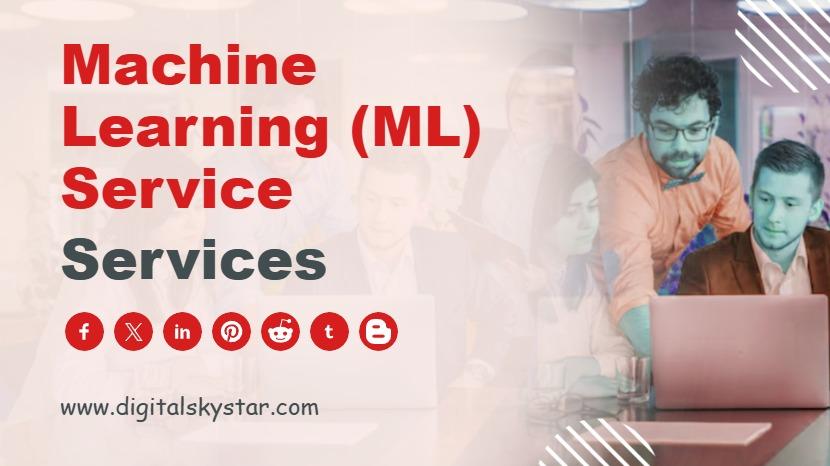 Machine Learning (ML) Service