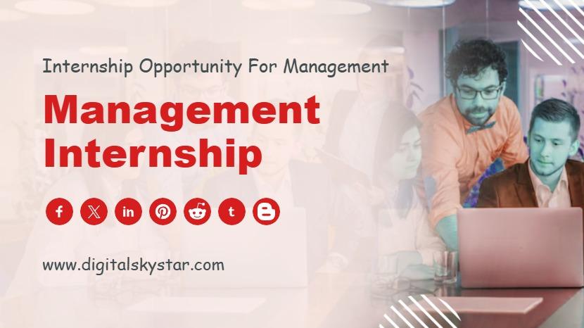 Management Internship