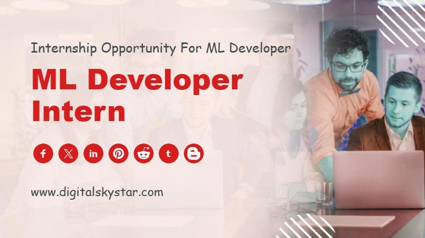 ML Developer Intern