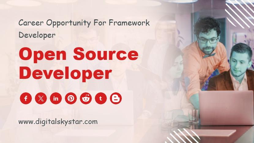 Open Source Developer
