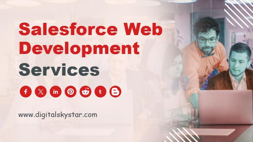 Salesforce Web Development