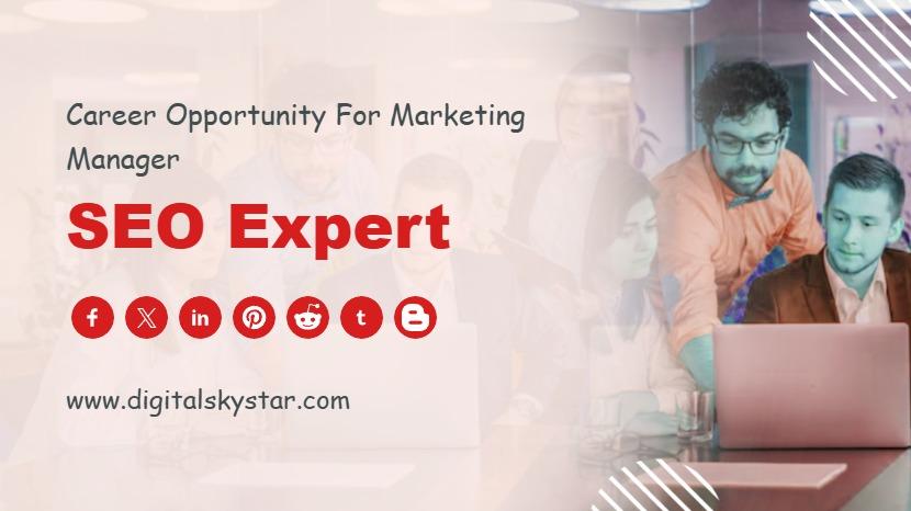 SEO Expert