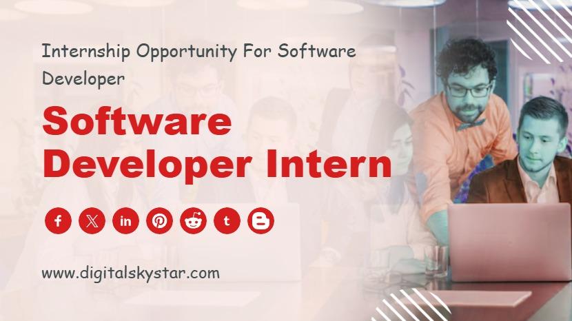 Software Developer Intern