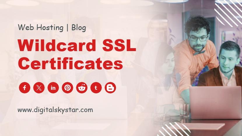 Wildcard SSL Certificates