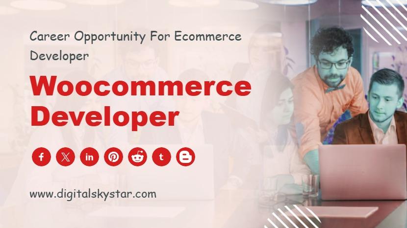 Woocommerce Web Developer