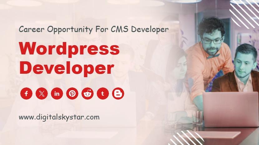 Wordpress Web Developer